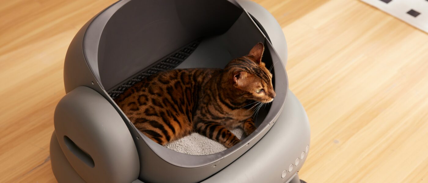 Best Automatic Litter Boxes in 2026: 5 Self-Cleaning Picks That Actually Save You From Daily Scooping