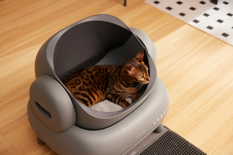 best automatic cat litter boxes in 2026