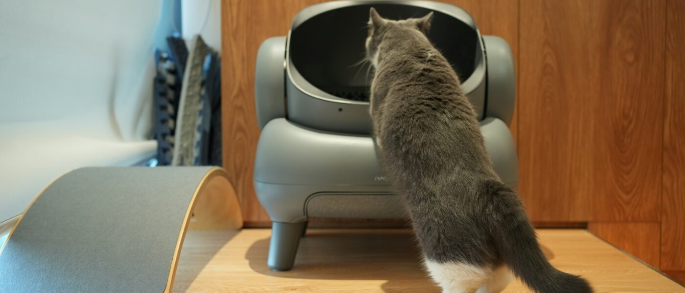 Best Cat Litter Boxes for Small Spaces in 2026: Space-Saving Designs, Odor Control, and Options Your Cat Will Actually Use