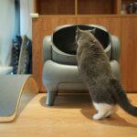 best cat litter boxes for small spaces in 2026