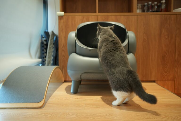 best cat litter boxes for small spaces in 2026