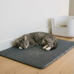 best cat litter mats in 2026