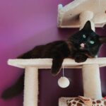 best-cat-trees-for-apartments-in-2026