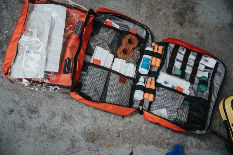 best dog first aid kits in 2026