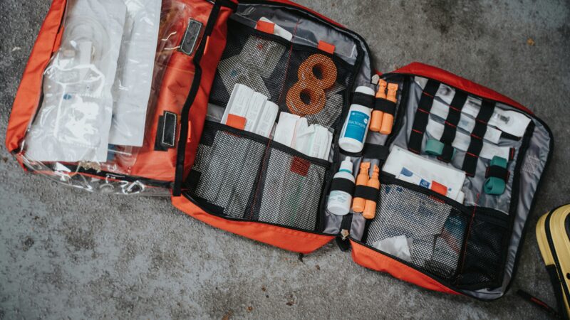 best dog first aid kits in 2026