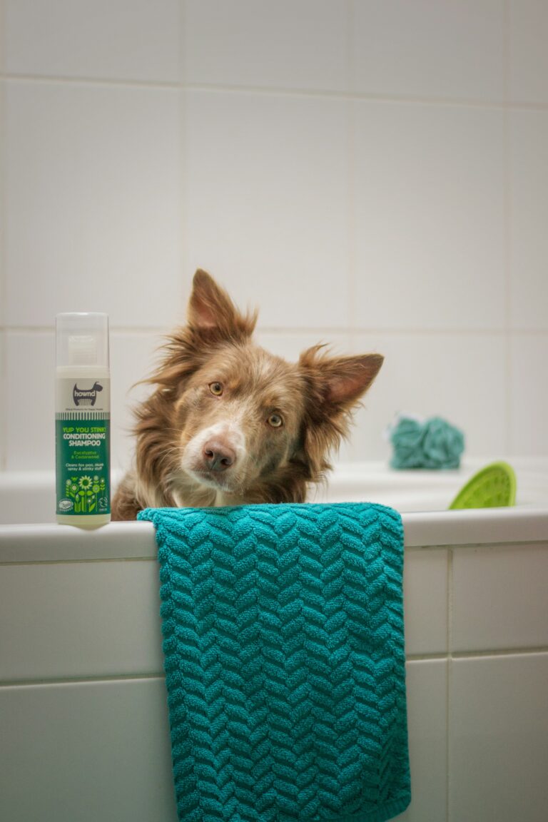 best dog shampoos for sensitive skins in 2026