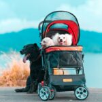 best dog strollers for small dogs in 2026