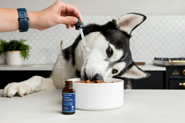 best dog supplements for joint pain in 2026