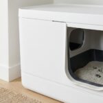 best multi cat litter boxes in 2026