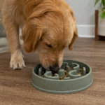 best slow feeder bowls for dogs in 2026
