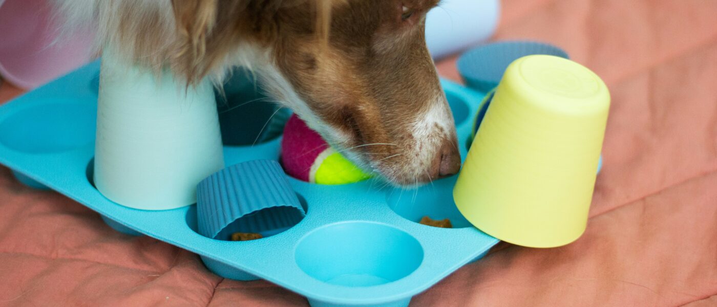 Best Treat-Dispensing Toys for Dogs in 2026: 5 Picks That Reward Problem-Solving With Snacks
