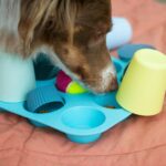 best treat dispensing dog toys in 2026