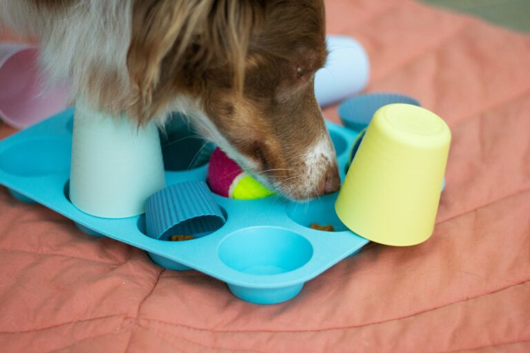 best treat dispensing dog toys in 2026