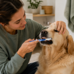 best dental care products for senior dogs in 2026