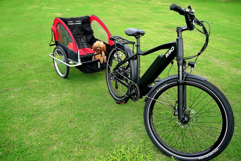 best dog bike trailers and carriers in 2026