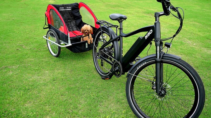 best dog bike trailers and carriers in 2026
