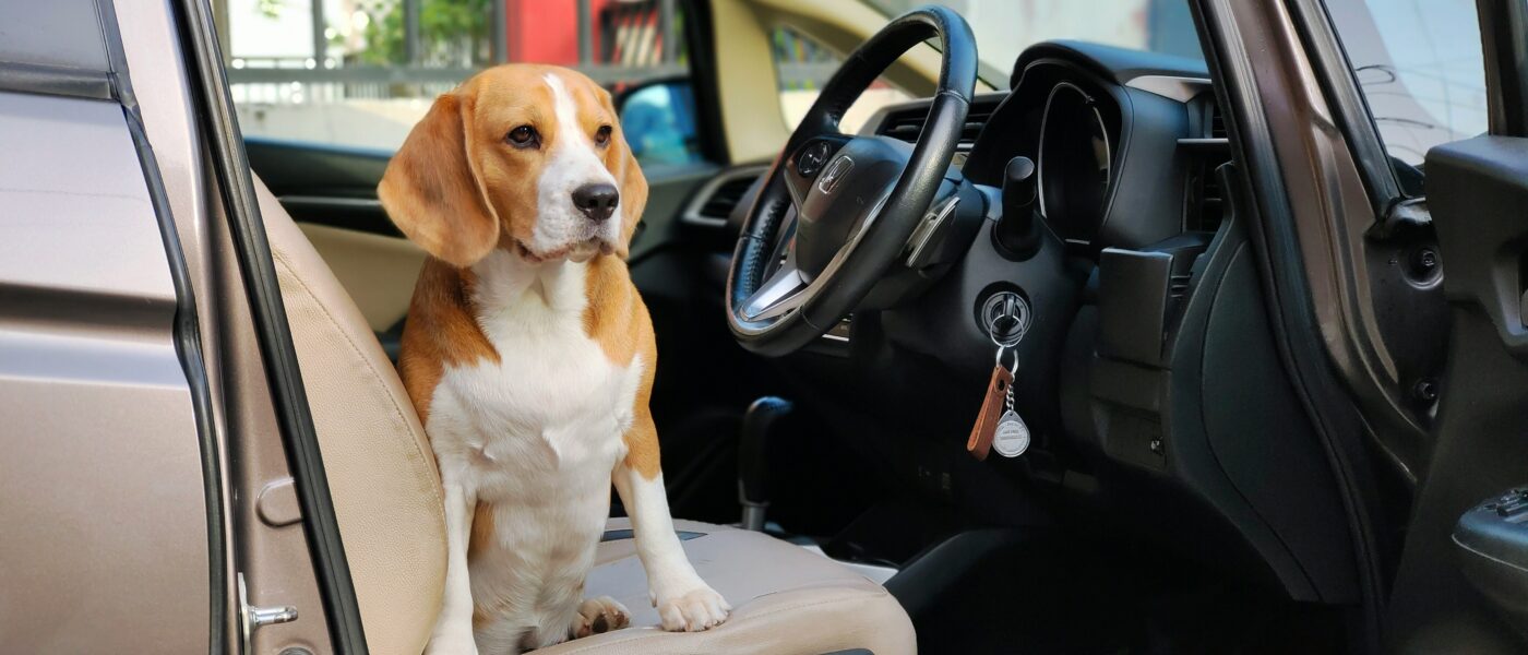 Best Dog Car Seat Covers in 2026: 5 Picks That Protect Your Seats from Hair, Mud, and Scratches