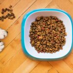 best dog food for sensitive stomachs in 2026