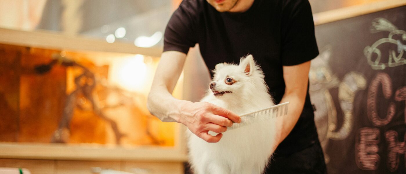 Best Dog Grooming Tables in 2026: 5 Picks for Easier At-Home Grooming