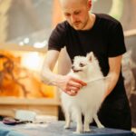 best dog grooming tables in 2026