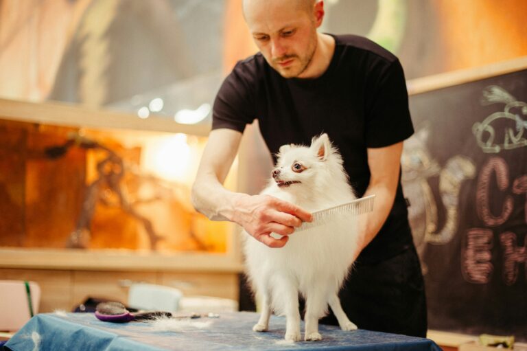 best dog grooming tables in 2026