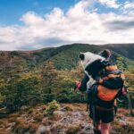 best dog hiking backpacks in 2026