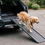 Best dog ramps for SUVs in 2026