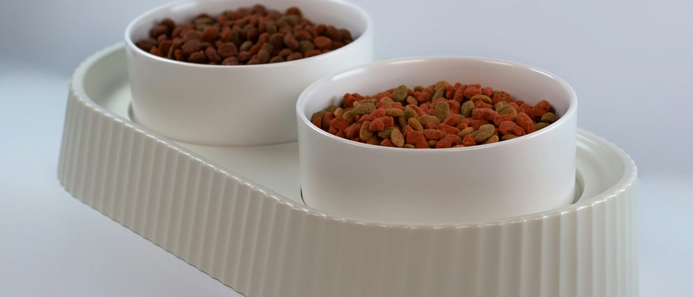 Best Elevated Cat Bowls for Senior Cats: Stop the Daily Neck Strain