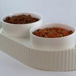 best elevated cat bowls for senior cats
