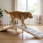 best indoor dog agility equipment in 2026
