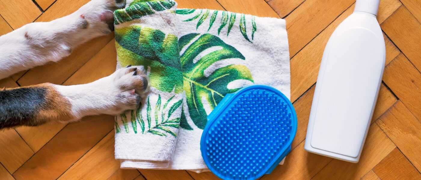 Molecular Clean: Exactly How to Choose Pet Stain & Odor Removers in 2026