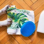 best pet stain and odor removers