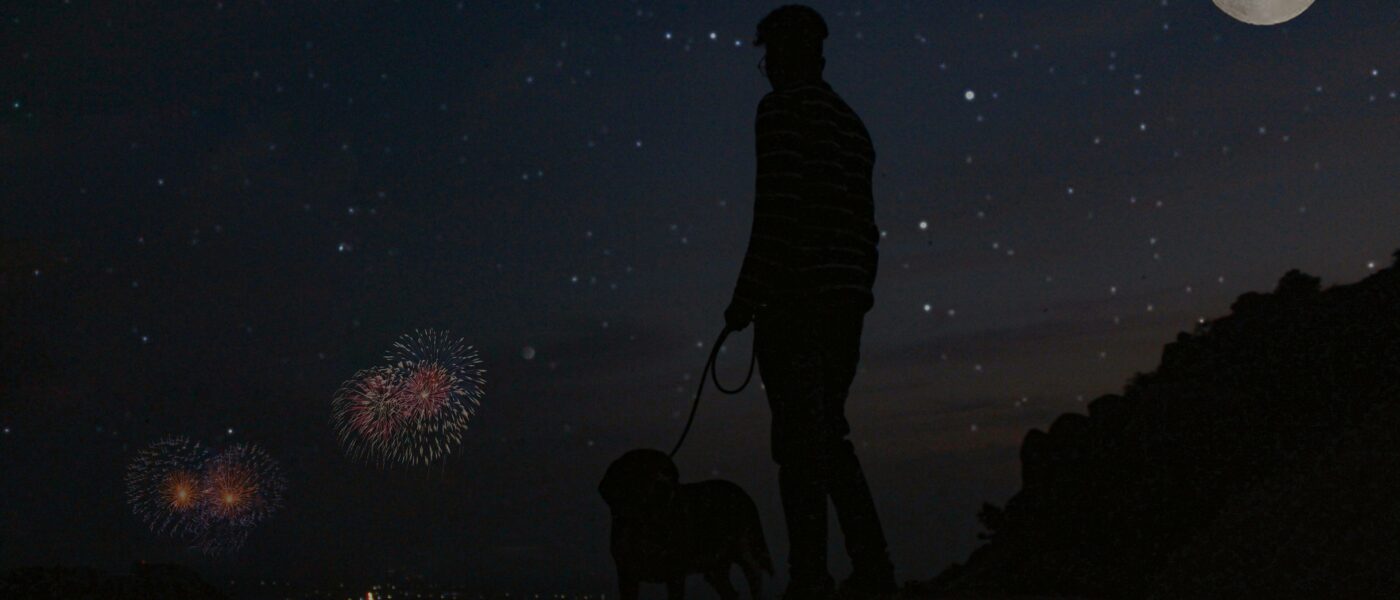 Panic Proof: Exactly How to Calm a Dog During Fireworks Safely