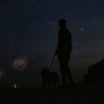 how to calm a dog during fireworks