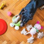 why do dogs shake toys